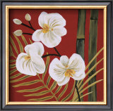 Buy Sun Kissed II at AllPosters.com
