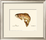 Buy Brown Trout at AllPosters.com