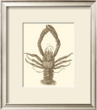 Sepia Lobster II