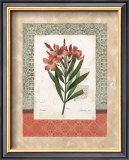 Buy Laurier Rose at AllPosters.com