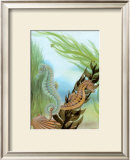 Seahorse Serenade IV