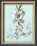 Buy Dussurgey Lilium on Blue at AllPosters.com