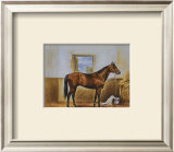 Buy Sea Biscuit at AllPosters.com