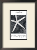 Buy Explore at AllPosters.com