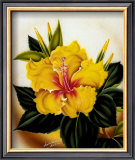 Buy Yellow Hibiscus at AllPosters.com