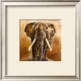 Buy Elephant at AllPosters.com