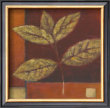 Buy Crimson Leaf Study II at AllPosters.com