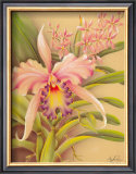 Buy Pink Cattleya at AllPosters.com