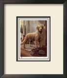 Loyal Companion