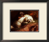 Buy Playful Encounter at AllPosters.com