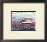 Buy Whale at AllPosters.com