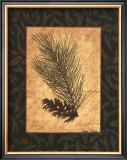 Buy White Pine at AllPosters.com