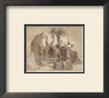 African Odyssey, Giraffes