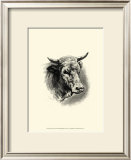 Buy Antique Cattle II at AllPosters.com