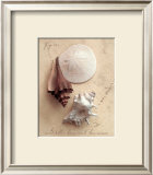 Buy Seaside Collection II at AllPosters.com