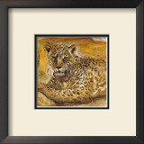 Wild Life II