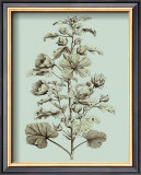 Buy Custom Imperial Munting I at AllPosters.com