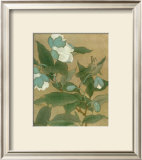 Magnolia and Praying Mantis