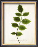 Buy Flirt at AllPosters.com
