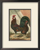 Buy Roosters V at AllPosters.com