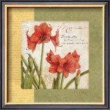 Buy Garden Inspiration IV at AllPosters.com