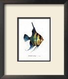 Buy Fish Tail I at AllPosters.com