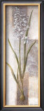 Buy Freesia at AllPosters.com