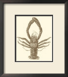 Sepia Lobster II