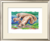 Manatee Family