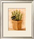 Buy Rosmarinus at AllPosters.com