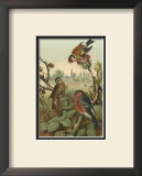 Finches