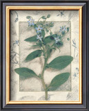 Buy Borage at AllPosters.com