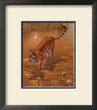 Tiger at the Edge of Night