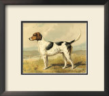 Buy Fox Hound at AllPosters.com
