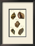 Buy Neptune's Treasure IV at AllPosters.com