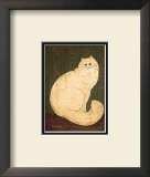 White Persian Cat