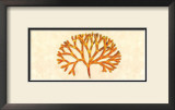 Buy Topaz Coral at AllPosters.com