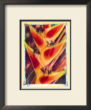 Buy Heliconia at AllPosters.com