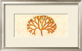 Buy Topaz Coral at AllPosters.com