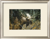 Buy Calm Before the Challenge at AllPosters.com