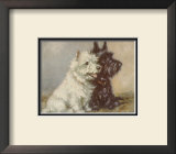 Scotch Terriers