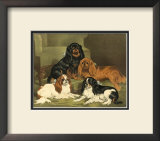Buy Toy Spaniels at AllPosters.com