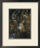 Buy An Autumn Gentleman at AllPosters.com