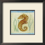 Seahorse