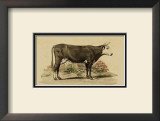 Buy Antique Cow IV at AllPosters.com