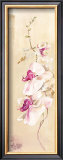 Buy Purete at AllPosters.com
