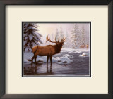 Buy Elk II at AllPosters.com