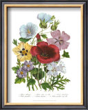 Buy Hibiscus at AllPosters.com