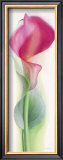 Buy Pink Calla III at AllPosters.com