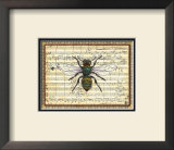 Bumblebee Harmony I